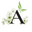 ameria.store favicon